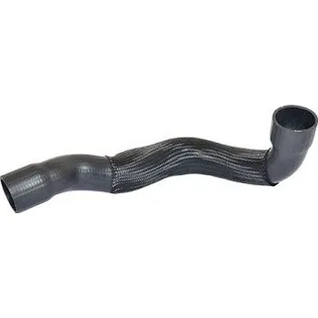 Hadička plnicího vzduchu BUGIAD 81621