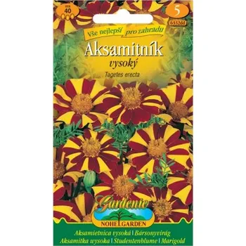 Semeno Aksamitník rozkladitý vysoký, žlutý žíhaný