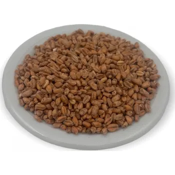 výroba alkoholu Weyermann Slad nakuřovaná pšenice Oak smoked wheat 1 kg Weyermann