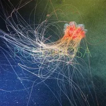 Zahraniční hudba LP Ponderosa: Pool Party LTD 2015 180g Vinyl Limited Edition