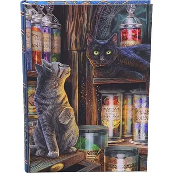 Zápisník Zápisník Magický obchod A5, cca 280 g