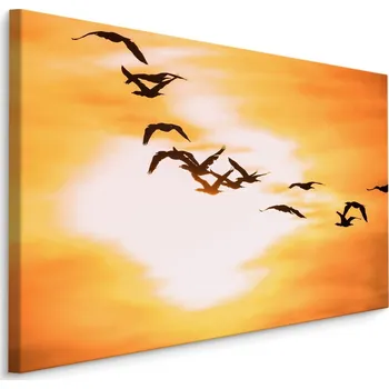 MyBestHome BOX Plátno Ptáci na obloze I. Varianta: 30x20