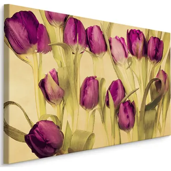 Plátno Tulipány V Retro Stylu Varianta: 30x20