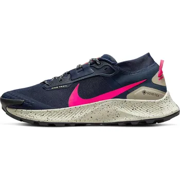 Pánská běžecká obuv NIKE Pegasus Trail 3 GTX DC8793-401
