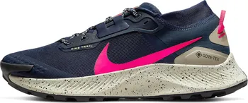 Pánská běžecká obuv NIKE Pegasus Trail 3 GTX DC8793-401