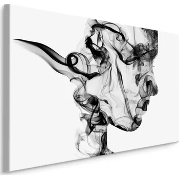 Obraz MyBestHome BOX Plátno Abstraktní Žena Z Kouře Varianta: 30x20