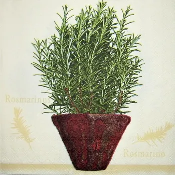 Papírový ubrousek Ubrousek KitchenHerbs
