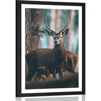 Plakát Dovido Plakát s paspartou jelen v lese