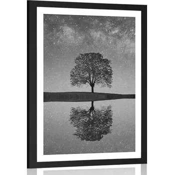Plakát Dovido Plakát s paspartou hvězdná obloha nad osamělým stromem v černobílém provedení