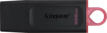 USB flash disk Kingston DataTraveler Exodia 256 GB (DTX/256GB)