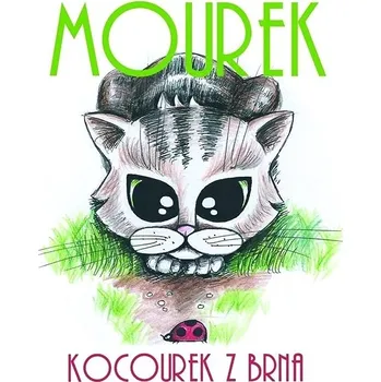Kniha Mourek z Brna Ekniha