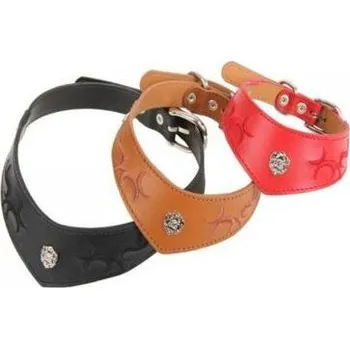 Obojek pro psa Puppia Cooper obojek M varianta červený