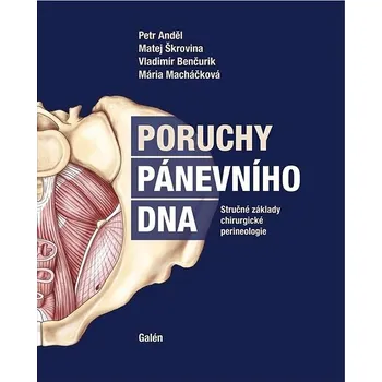Poruchy pánevního dna: Stručné základy chirurgické perineologie Kniha