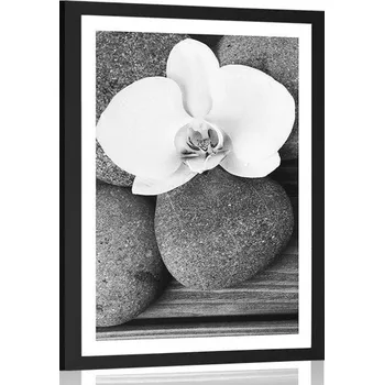 Plakát Dovido Plakát s paspartou wellness kameny a orchidej na dřevěném pozadí v černobílém provedení