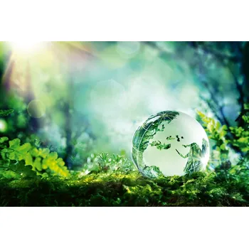 Fototapeta DIMEX | Vliesová fototapeta Glóbus na mechu MS-5-1261 | 375 x 250 cm| zelená, modrá, bílá, hnědá + Vliesová fototapeta na stěnu DIMEX Glóbus na mechu MS51261 v rozměru 375 x 250 cm + lepidlo zdarma