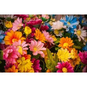 Fototapeta DIMEX | Vliesová fototapeta Pestrá kytice MS-5-1306 | 375 x 250 cm| modrá, žlutá, oranžová, růžová + Vliesová fototapeta na stěnu DIMEX Pestrá kytice MS51306 v rozměru 375 x 250 cm + lepidlo zdarma