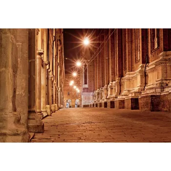 Fototapeta DIMEX | Vliesová fototapeta Bologna Itálie MS-5-0743 | 375 x 250 cm| žlutá, oranžová, hnědá + Vliesová fototapeta na stěnu DIMEX Bologna Itálie MS50743 v rozměru 375 x 250 cm + lepidlo zdarma