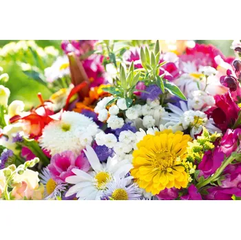 Fototapeta DIMEX | Vliesová fototapeta Kvetoucí kytice MS-5-1382 | 375 x 250 cm| zelená, bílá, růžová + Vliesová fototapeta na stěnu DIMEX Kvetoucí kytice MS51382 v rozměru 375 x 250 cm + lepidlo zdarma