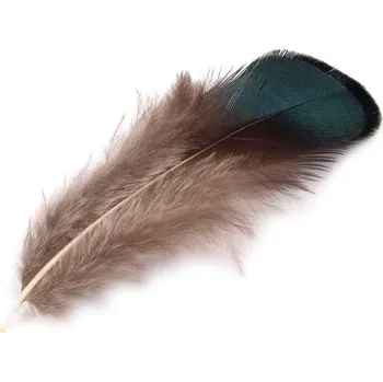 Bažantí peří délka 4,5-9 cm, barva 1 zelená piniová béžová