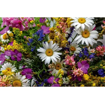 Fototapeta DIMEX | Vliesová fototapeta Barevná kytice MS-5-1329 | 375 x 250 cm| zelená, bílá, žlutá, růžová + Vliesová fototapeta na stěnu DIMEX Barevná kytice MS51329 v rozměru 375 x 250 cm + lepidlo zdarma