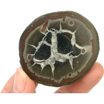 Přírodní kámen Fosilní septarie polovina (Maroko) 60g