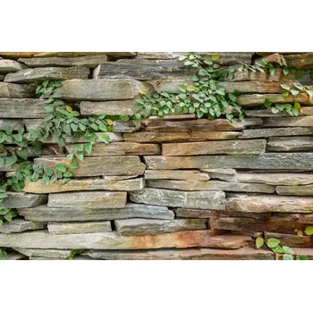 Fototapeta DIMEX | Vliesová fototapeta Kamenná zeď MS-5-2360 | 375 x 250 cm| zelená, hnědá, šedá + Vliesová fototapeta na stěnu DIMEX Kamenná zeď MS52360 v rozměru 375 x 250 cm + lepidlo zdarma