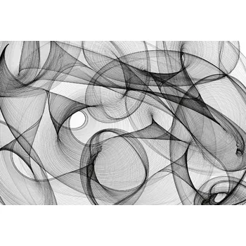 Fototapeta DIMEX | Vliesová fototapeta Abstraktní černobílý vzor MS-5-2513 | 375 x 250 cm | bílá, černá + Vliesová fototapeta na stěnu DIMEX Abstraktní černobílý vzor MS52513 v rozměru 375 x 250 cm + lepidlo zdarma