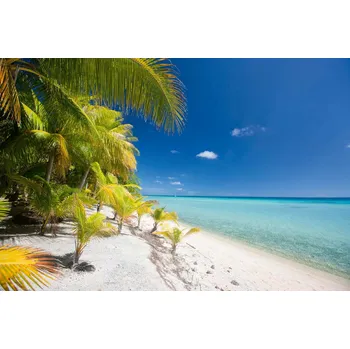 Fototapeta DIMEX | Vliesová fototapeta Pláž na tropickém ostrově MS-5-3242 | 375 x 250 cm | zelená, modrá, krémová + Vliesová fototapeta na stěnu DIMEX Pláž na tropickém ostrově MS53242 v rozměru 375 x 250 cm + lepidlo zdarma