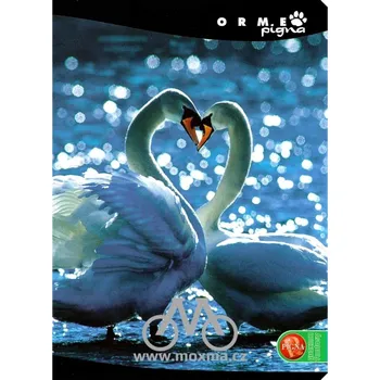 Sešit Sešit A5 linkovaný 544 Pigna Orme - Labutě