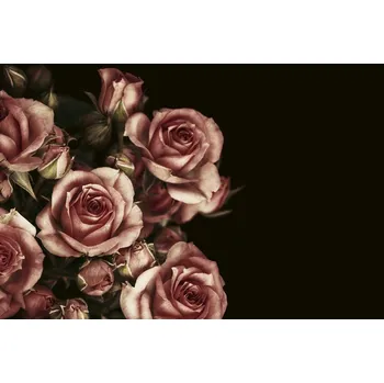 Fototapeta DIMEX | Vliesová fototapeta Květinové pozadí MS-5-1400 | 375 x 250 cm| červená, černá, růžová + Vliesová fototapeta na stěnu DIMEX Květinové pozadí MS51400 v rozměru 375 x 250 cm + lepidlo zdarma