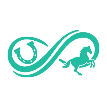 Samolepící dekorace Infinity 005 pravá koník s podkovou (25 - tyrkysová) SAMOLEPKA NA AUTO, NÁLEPKA, FÓLIE, POLEP, TUNING, VLASTNÍ TEXT, TISK, AUTOSAMOLEPKY.cz, POLEPY, OBRÁZEK, LOGO, 3D STICKERS