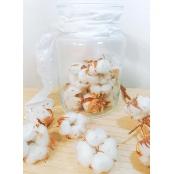 umělá květina Dovoz z EU Sušený květ bavlníku