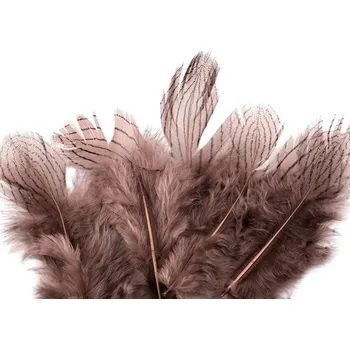 Bažantí peří (10ks) růžová tmavá, délka 5-11 cm