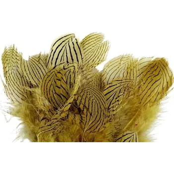 Bažantí peří (10ks) hořčicová, délka 5-11 cm