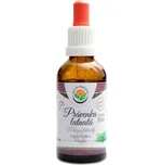 Salvia Paradise Právenka latnatá AF…