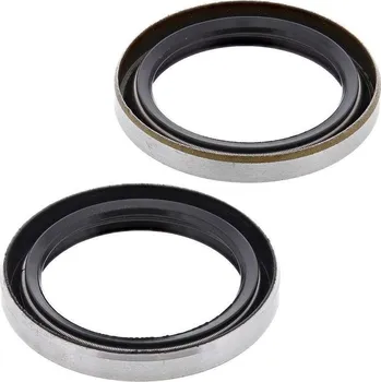 Těsnění motoru Winderosa sada gufer motoru Evinrude johnson Evenrude Johnson (OMC) FC/2