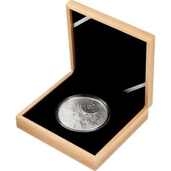 Česká mincovna Stříbrná kilogramová mince Karel IV. Zakladatel a stavitel 1000 g