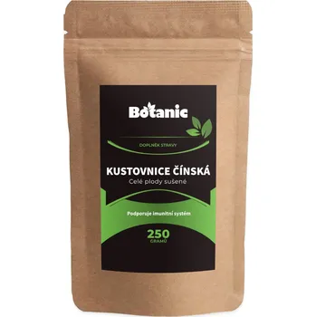 Sušené ovoce Botanic Kustovnice čínská plody 250 g