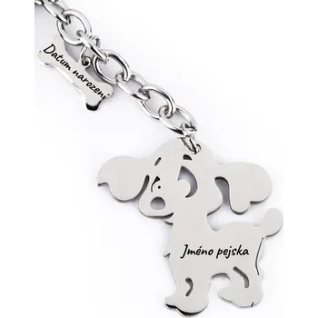 Přívěsek Přívěsek - Pejsek a kostička - Vlastní text - Stříbrná barva