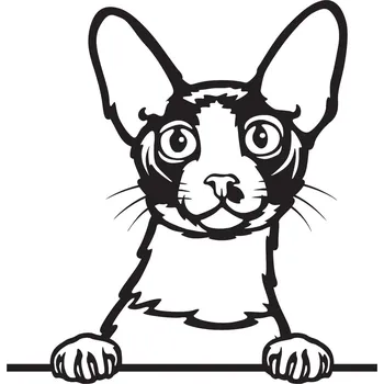 Vsepropejska Cornish Rex kočka dřevěná dekorace na zeď Rozměr (cm): 38 x 36