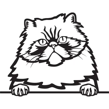 Vsepropejska Himalájská kočka dřevěná dekorace na zeď Rozměr (cm): 38 x 30