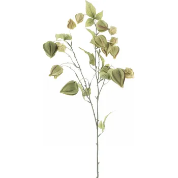 umělá květina umělá květina, Mochyně - Physalis ovocní spray 'Lahja' zelená V83 cm