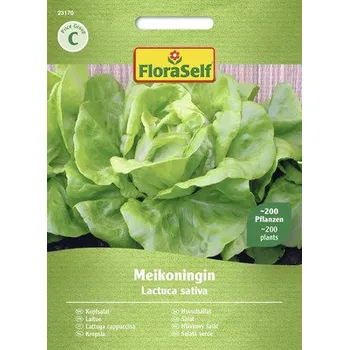 Semeno Salát hlávkový Meikoningin FloraSelf