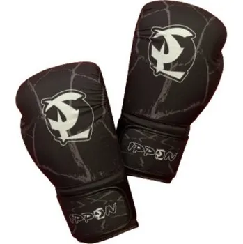 Boxerské rukavice BOXERSKÉ RUKAVICE IPPON FABRIC Barva: Černá, Velikost: 12oz
