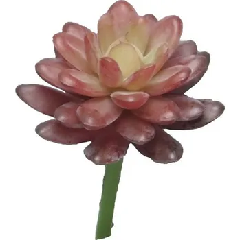 umělá květina umělý sukulent, Rozchodník - Sedum vyběr červený (bordeaux) 16 cm