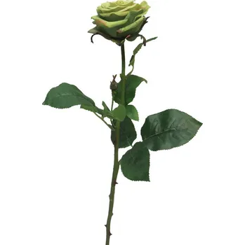 umělá květina Umělá květina, Růže - Rosa Broceliande zelená 65cm