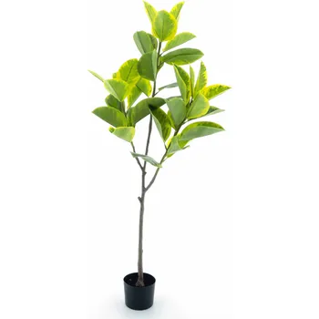 umělá květina Umělý strom, Fíkus - Ficus elastica strom v obalu zelený v160 cm (N520651)
