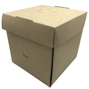 Jednorázové nádobí Flower box kraft s tukovou bariérou 14,5x14,5x15 cm 100ks