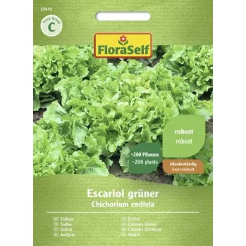 Semeno Čekanka listová Escariol zelená FloraSelf