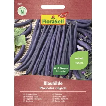 Semeno Fazole tyčková Blauhilde FloraSelf Select